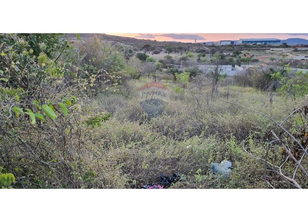 Terreno - Venda - Jacobina , Bahia - WhatsApp Image 2025-09-11 at 15.43.47.jpeg - 580851018-64