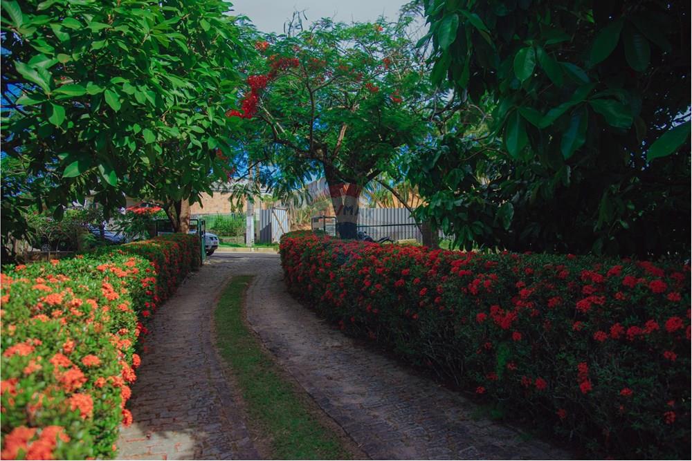 Casa - Venda - Lauro de Freitas , Bahia - DSC_6751.jpg - 580541079-16