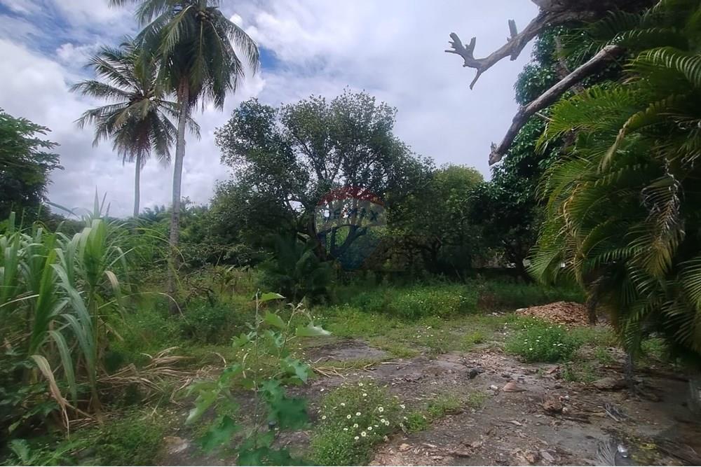 Terreno - Venda - Camaçari , Bahia - WhatsApp Image 2025-10-28 at 14.54.21 (3).jpeg - 580561053-77