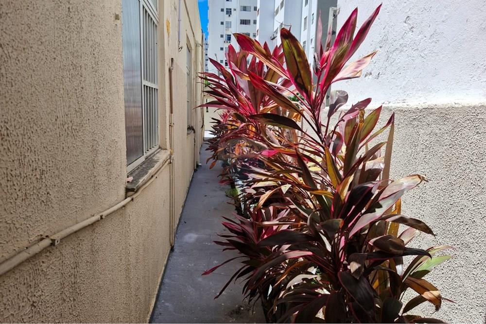 Casa Comercial - Venda - Salvador , Bahia - WhatsApp Image 2026-03-17 at 13.34.25.jpeg - 580331003-620