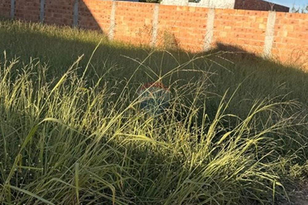 Terreno - Venda - Vitória da Conquista , Bahia - WhatsApp Image 2025-06-09 at 19.45.05 (1).jpeg - 580831019-9