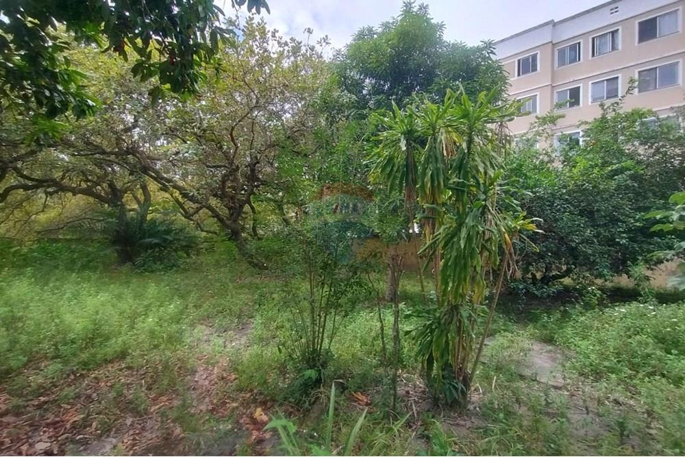 Terreno - Venda - Camaçari , Bahia - WhatsApp Image 2025-10-28 at 14.54.22.jpeg - 580561053-77