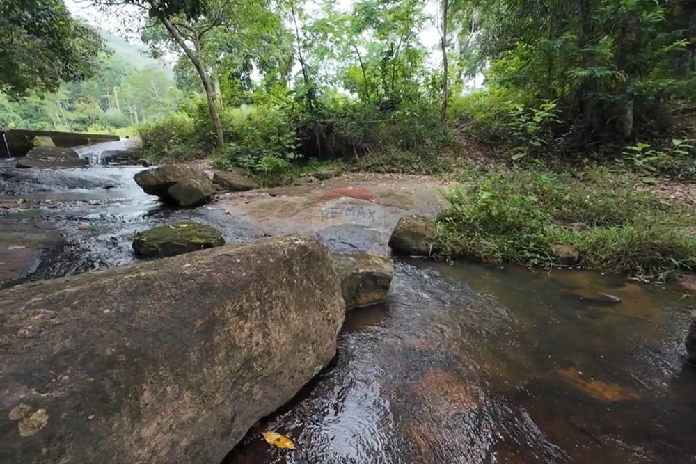 Fazenda - Venda - Itamaraju , Bahia - IMG_7953.jpg - 580751013-75