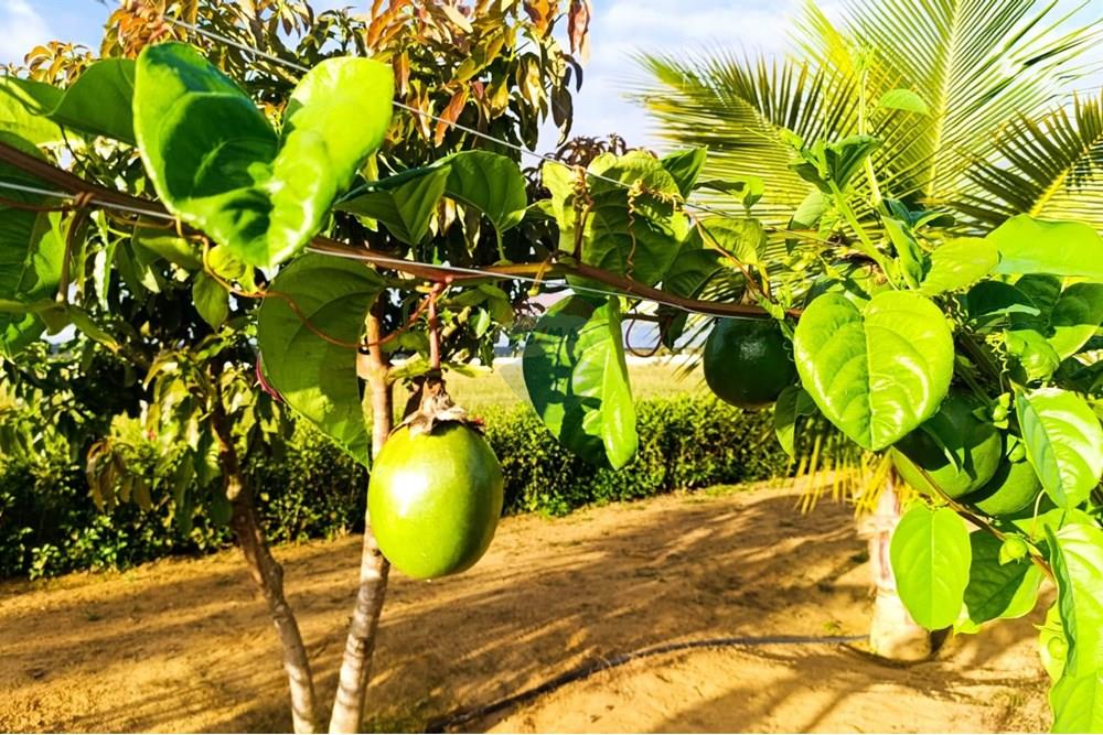 Studio - Venda - Vitória da Conquista , Bahia - F15.jpg - 580831019-6