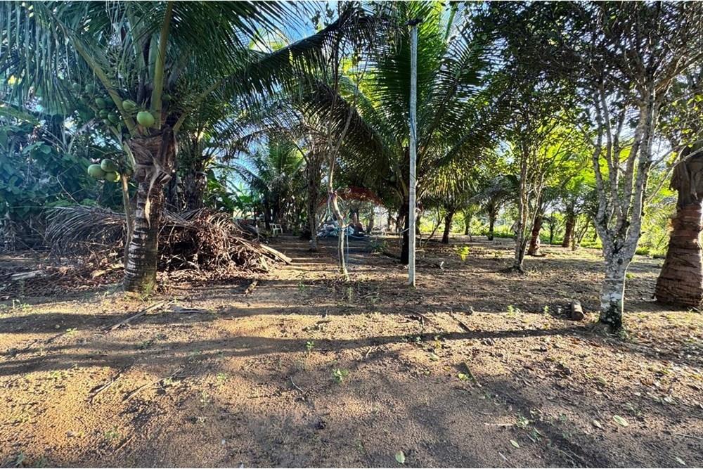 Chácara à venda com 2 quartos, 91m² - Foto 14