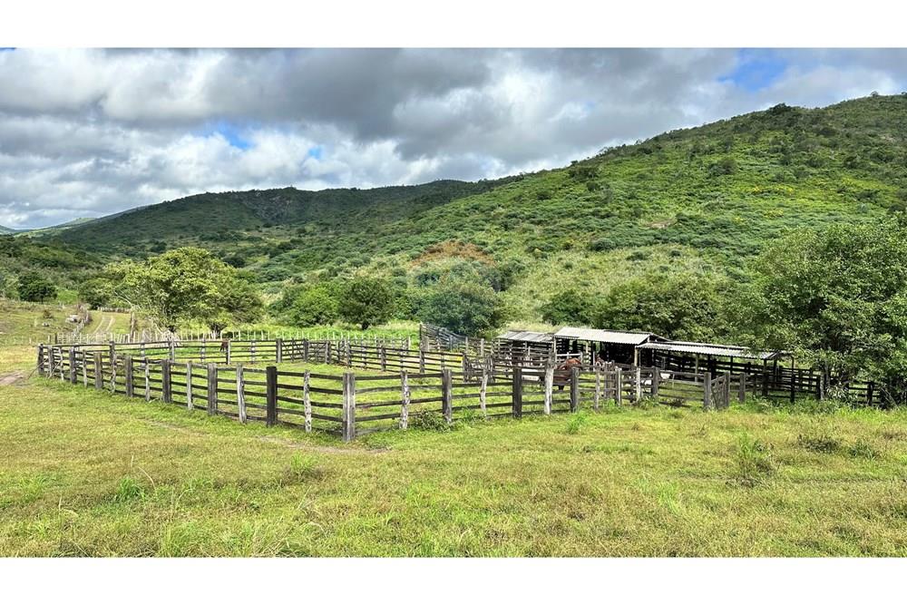 Chácara / Sítio / Fazenda - Venda - Jequié , Bahia - image00009.jpeg - 580731023-47