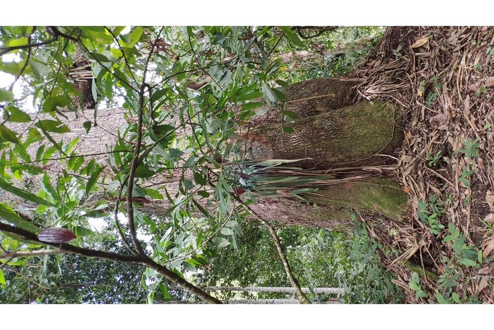 Chácara / Sítio / Fazenda - Venda - Jequié , Bahia - 51.jpg - 580731023-74