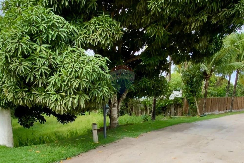 Terreno - Venda - Trancoso , Bahia - WhatsApp Image 2026-01-14 at 10.29.54.jpeg - 580581012-110