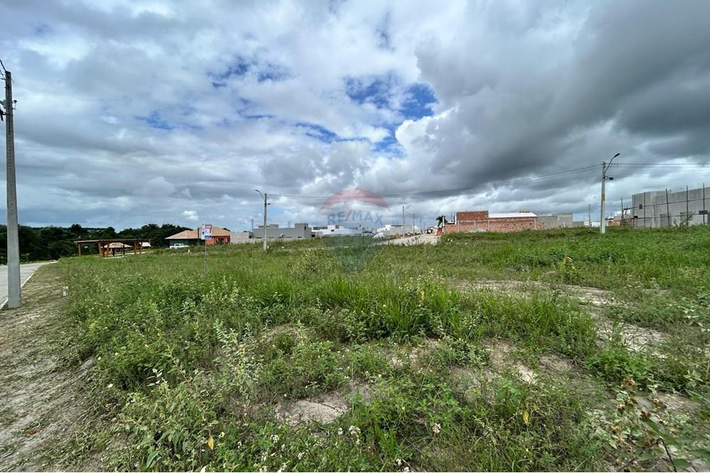 Terreno - Venda - Teixeira de Freitas , Bahia - WhatsApp Image 2025-04-23 at 08.38.09 (2).jpeg - 580411003-270