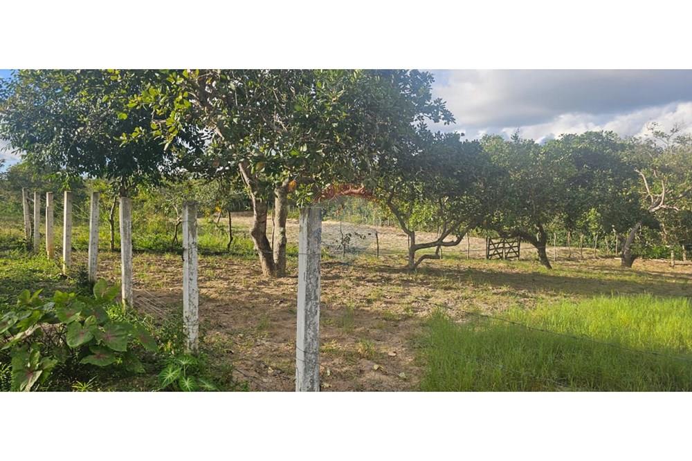 Chácara / Sítio / Fazenda - Alugar - Alagoinhas , Bahia - WhatsApp Image 2025-11-12 at 08.47.13 (3).jpeg - 580701044-78