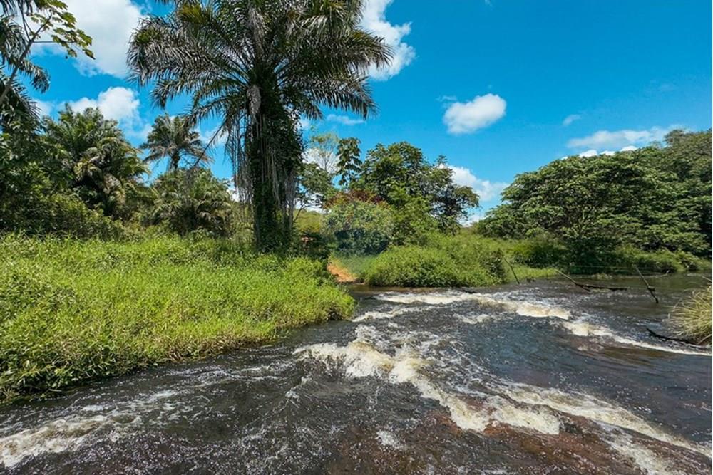 Chácara / Sítio / Fazenda - Venda - Santo Antônio de Jesus , Bahia - IMG_6196.jpg - 580341015-101