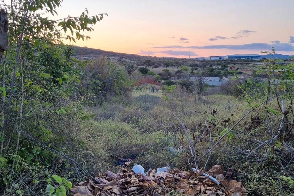 Terreno - Venda - Jacobina , Bahia - WhatsApp Image 2025-09-11 at 15.44.14.jpeg - 580851018-64