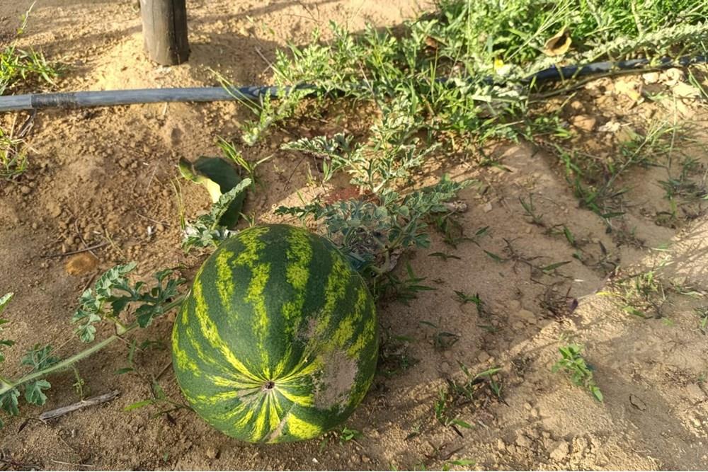 Studio - Venda - Vitória da Conquista , Bahia - F17.jpg - 580831019-6