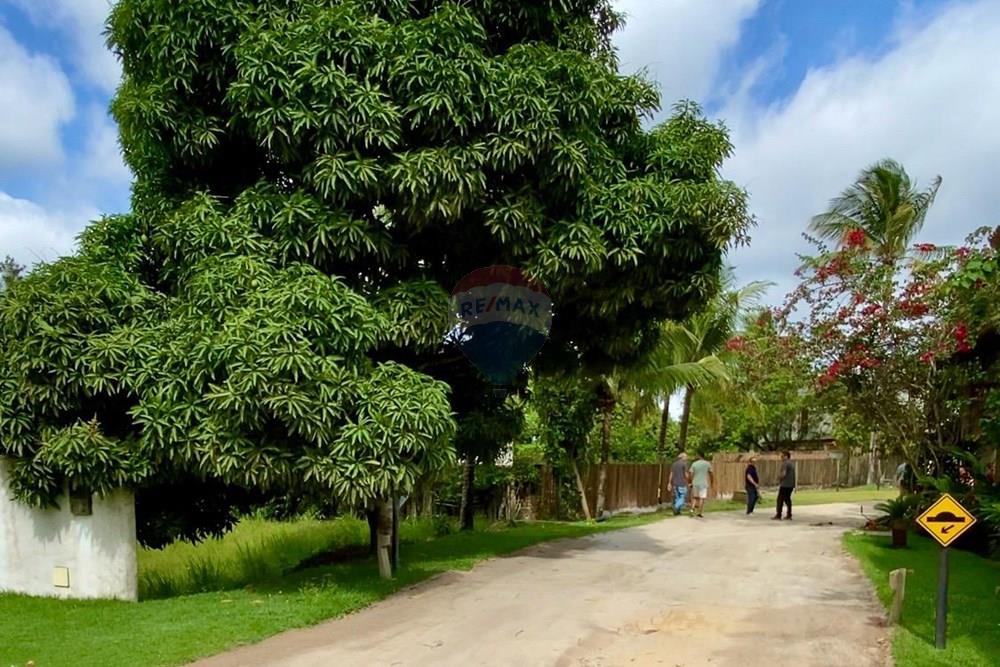 Terreno - Venda - Trancoso , Bahia - WhatsApp Image 2026-01-14 at 10.29.53.jpeg - 580581012-110