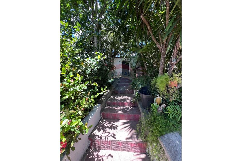 Chácara / Sítio / Fazenda - Venda - São Félix , Bahia - IMG_2002.jpeg - 580691023-29