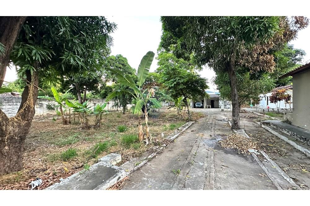 Chácara / Sítio / Fazenda - Venda - Jequié , Bahia - IMG_6552.JPEG - 580731028-6