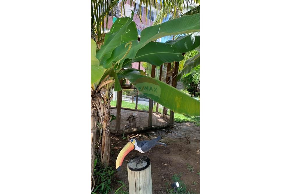 Apartamento - Venda - Salvador , Bahia - IMG_5950.jpg - 580761044-14