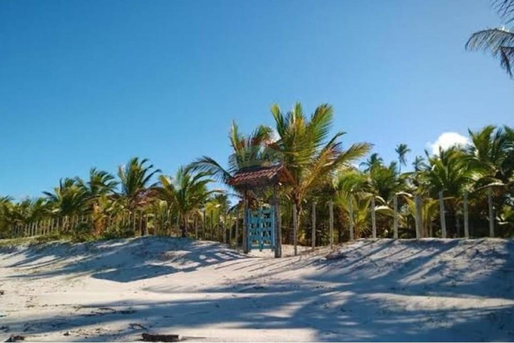 Terreno - Venda - Ilhéus , Bahia - WhatsApp Image 2025-05-29 at 22.08.55.jpeg - 580831019-12