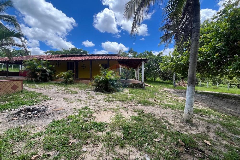 Chácara / Sítio / Fazenda - Alugar - Alagoinhas , Bahia - WhatsApp Image 2026-03-18 at 11.51.14.jpeg - 580701044-78