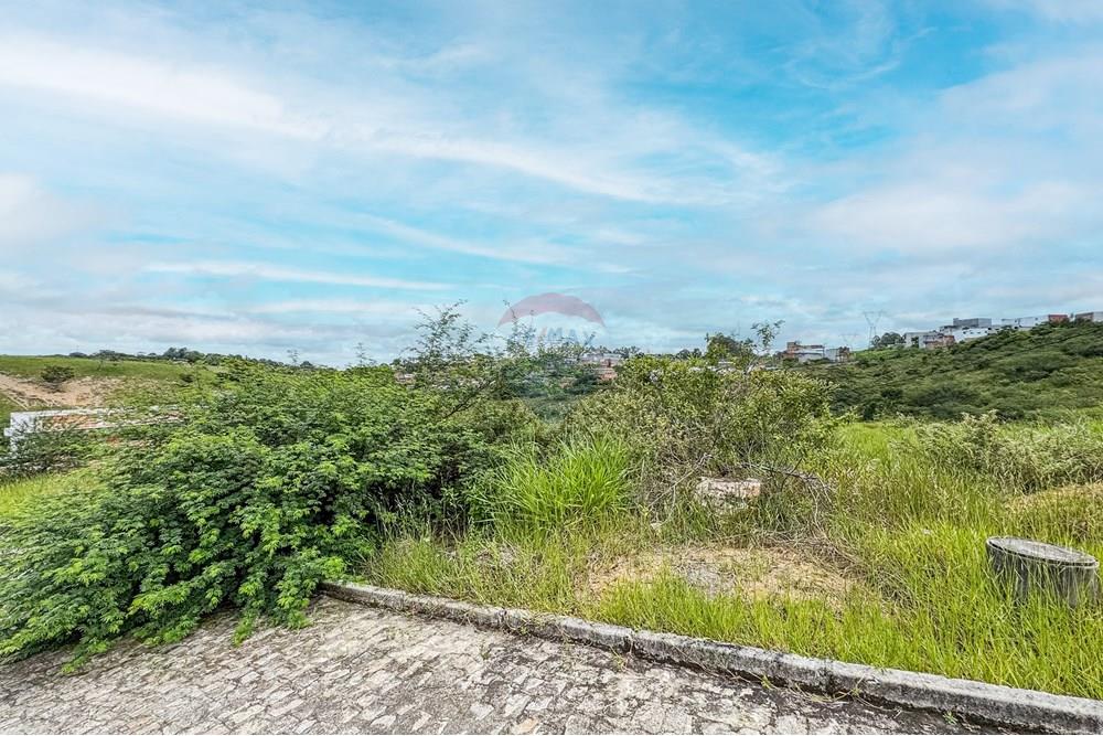 Terreno - Venda - Santo Antônio de Jesus , Bahia - IMG_4262.jpg - 580341038-11