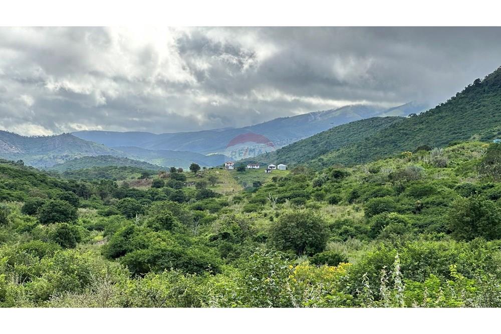 Chácara / Sítio / Fazenda - Venda - Jequié , Bahia - image00001.jpeg - 580731023-47