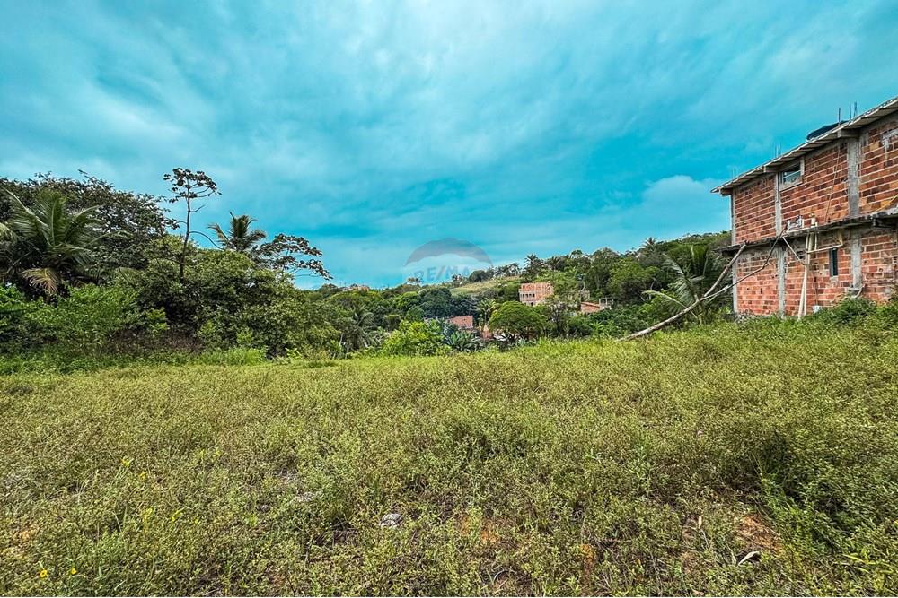 Terreno - Venda - Cairu , Bahia - IMG_2645.jpg - 580341015-105