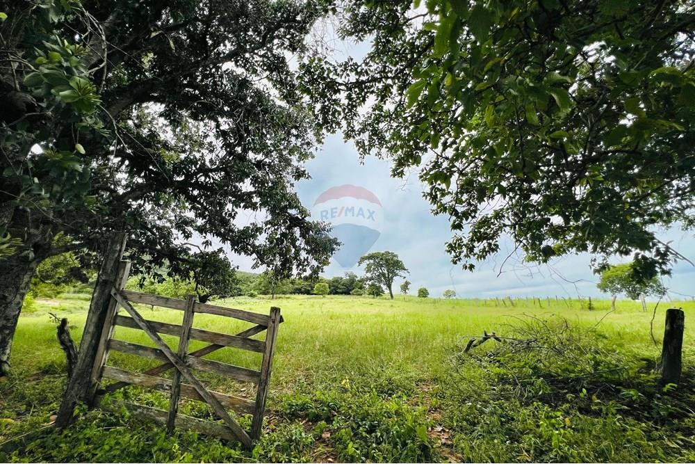 Chácara / Sítio / Fazenda - Venda - Barreiras , Bahia - WhatsApp Image 2025-03-11 at 17.53.50.jpeg - 580651065-24