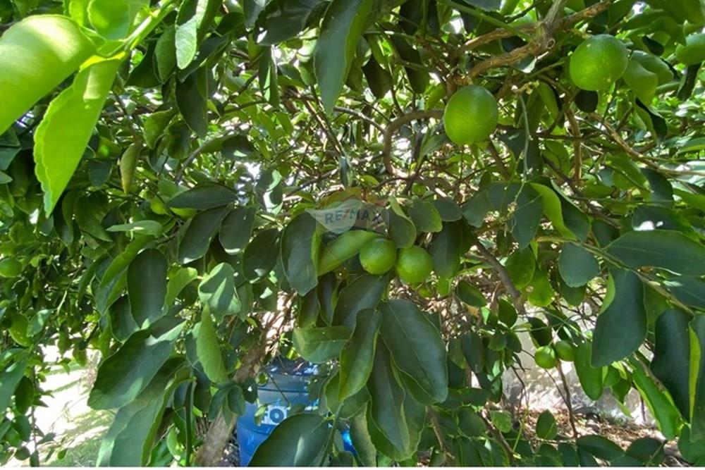 Casa - Venda - Entre Rios , Bahia - 49db7b5f-7fe0-4a9e-9f21-8736886fe6e4.jpg - 580541023-77