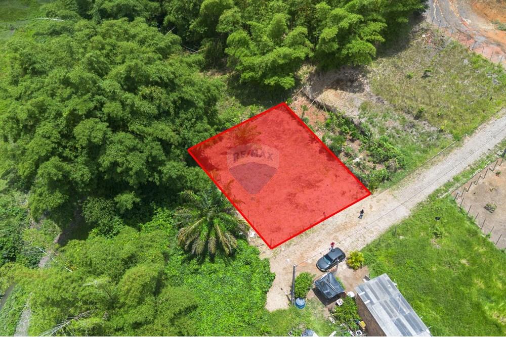 Terreno - Venda - Santo Antônio de Jesus , Bahia - DJI_0043.jpg - 580341046-28