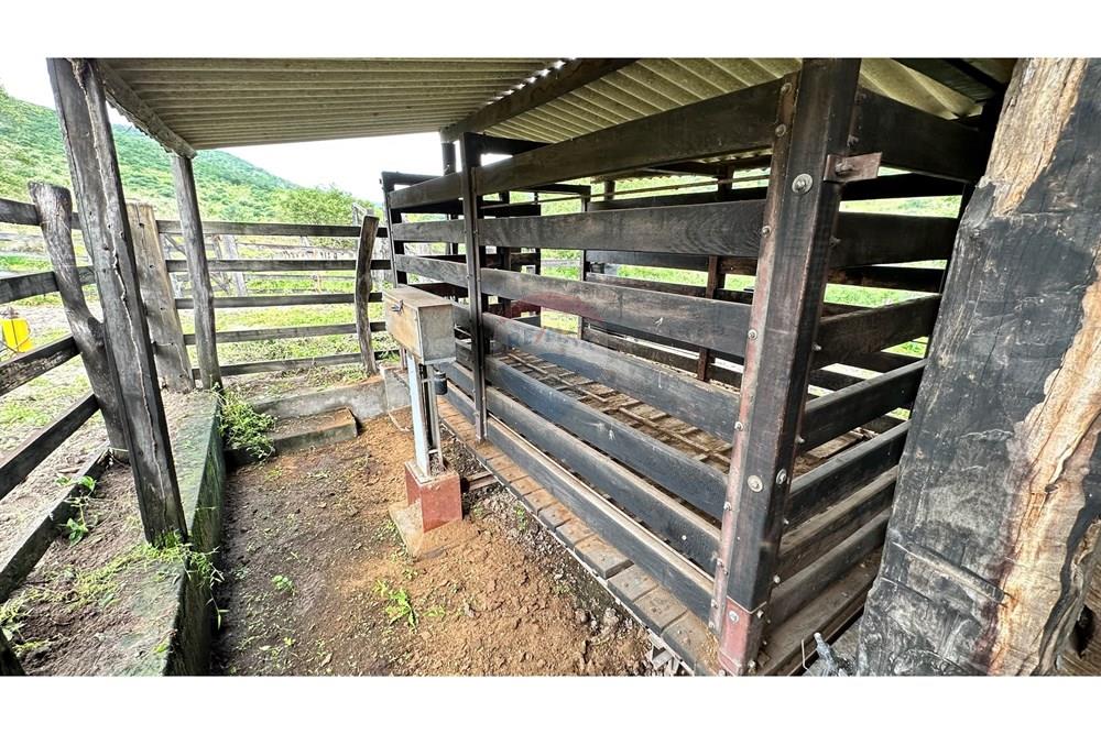 Chácara / Sítio / Fazenda - Venda - Jequié , Bahia - image00013.jpeg - 580731023-47