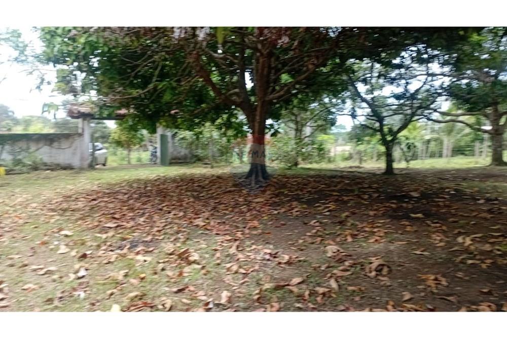 Chácara / Sítio / Fazenda - Alugar - Camaçari , Bahia - WhatsApp Image 2025-10-15 at 14.31.59.jpeg - 580331013-753