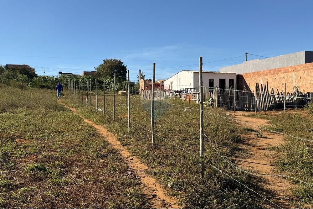 Terreno - Venda - Vitória da Conquista , Bahia - WhatsApp Image 2025-06-09 at 19.47.34 (1).jpeg - 580831019-8