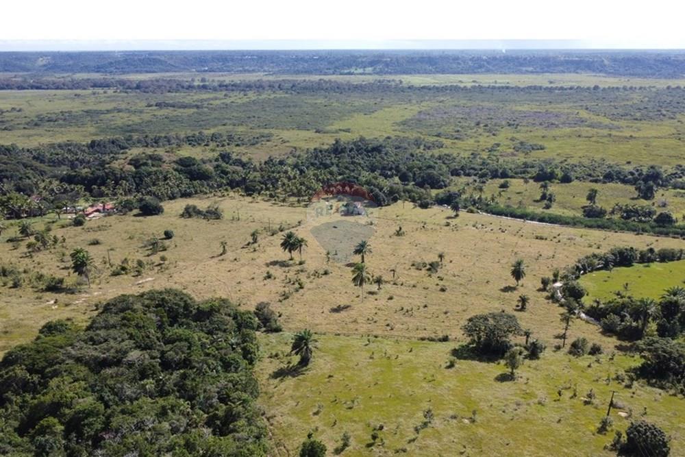 Chácara / Sítio / Fazenda - Venda - Porto Seguro , Bahia - DJI_0594.JPG - 580531040-12