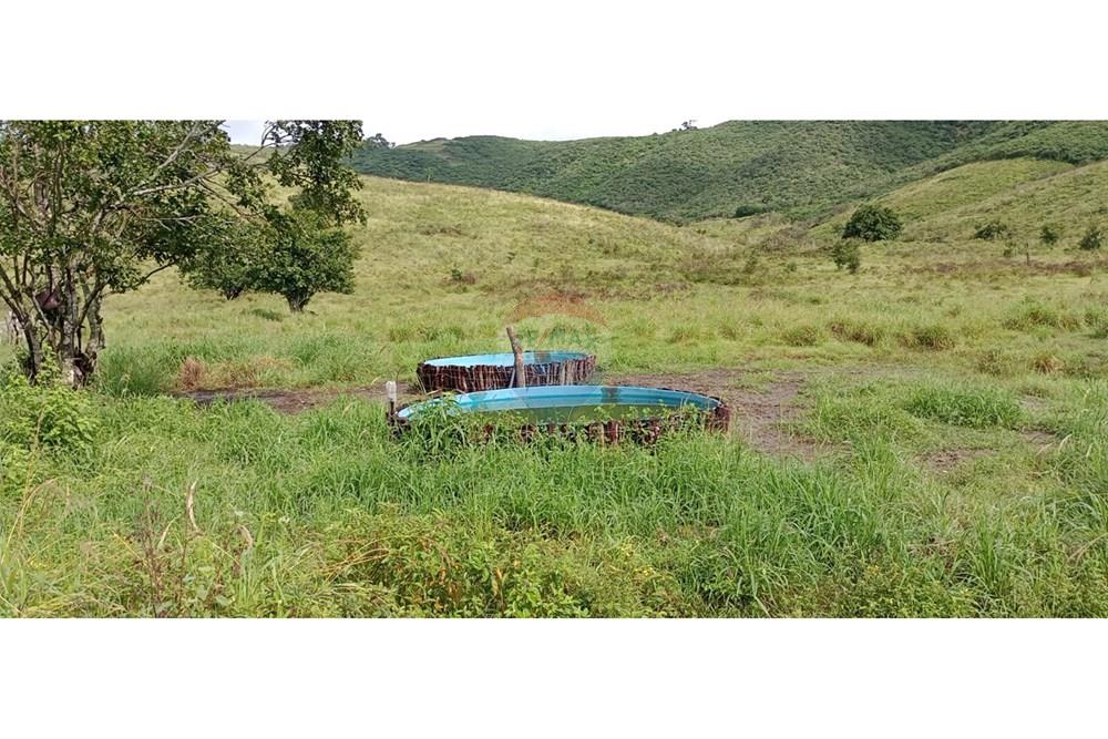 Chácara / Sítio / Fazenda - Venda - Jequié , Bahia - IMG-20240614-WA0274.jpg - 580731023-47