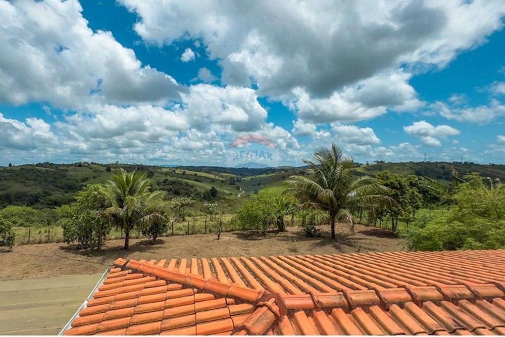 Chácara / Sítio / Fazenda - Venda - Santo Antônio de Jesus , Bahia - IMG_6155.jpg - 580341015-101