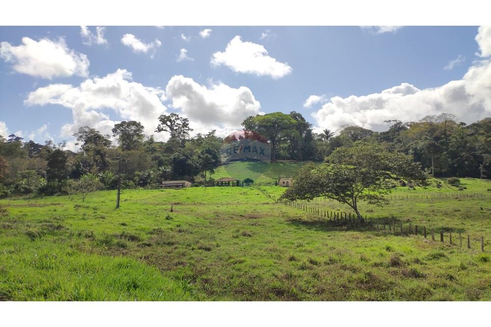 Chácara / Sítio / Fazenda - Venda - Jequié , Bahia - 20.jpg - 580731023-74