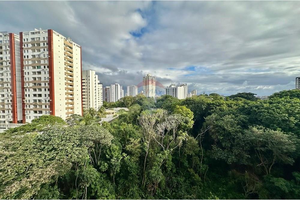 Apartamento - Venda - Salvador , Bahia - WhatsApp Image 2025-07-28 at 18.41.44(1).jpeg - 580551067-96
