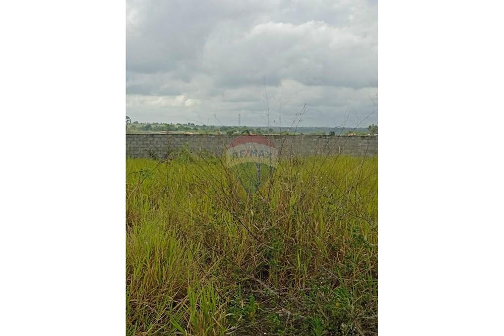 Terreno - Venda - Santo Antônio de Jesus , Bahia - WhatsApp Image 2026-03-17 at 11.53.21.jpeg - 580341019-70