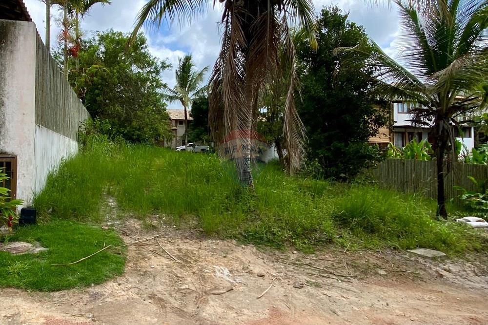 Terreno - Venda - Trancoso , Bahia - WhatsApp Image 2026-01-14 at 10.24.00.jpeg - 580581012-110