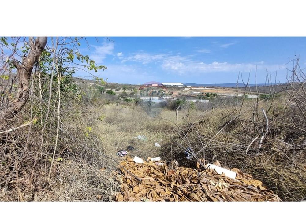 Terreno - Venda - Jacobina , Bahia - WhatsApp Image 2025-12-29 at 11.54.30 (2).jpeg - 580851018-64