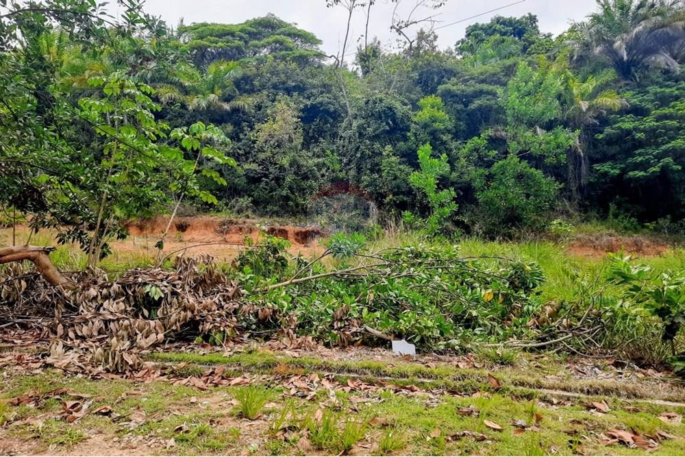 Terreno - Venda - Vera Cruz , Bahia - WhatsApp Image 2025-11-06 at 07.32.58.jpeg - 580561051-32