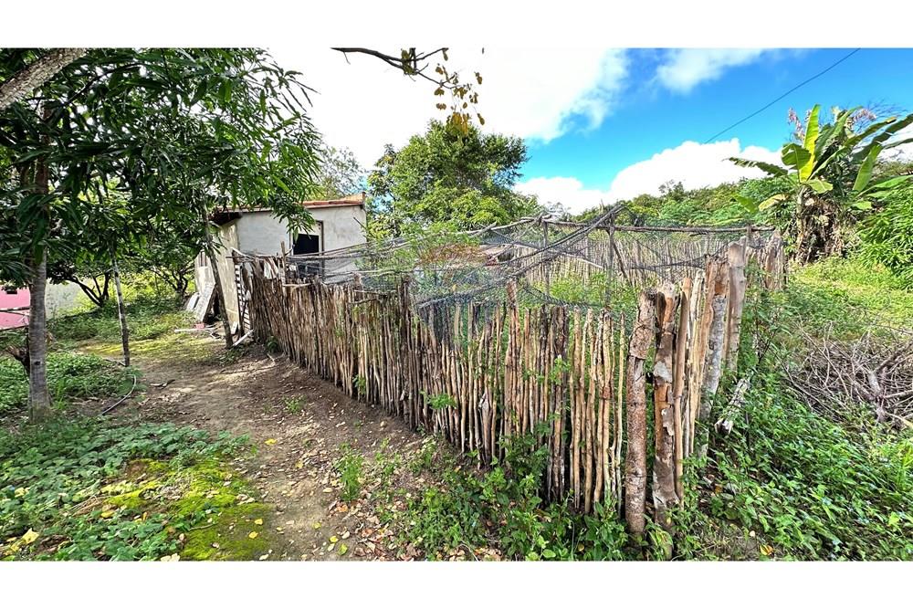 Chácara / Sítio / Fazenda - Venda - Jequié , Bahia - image00043.jpeg - 580731023-59