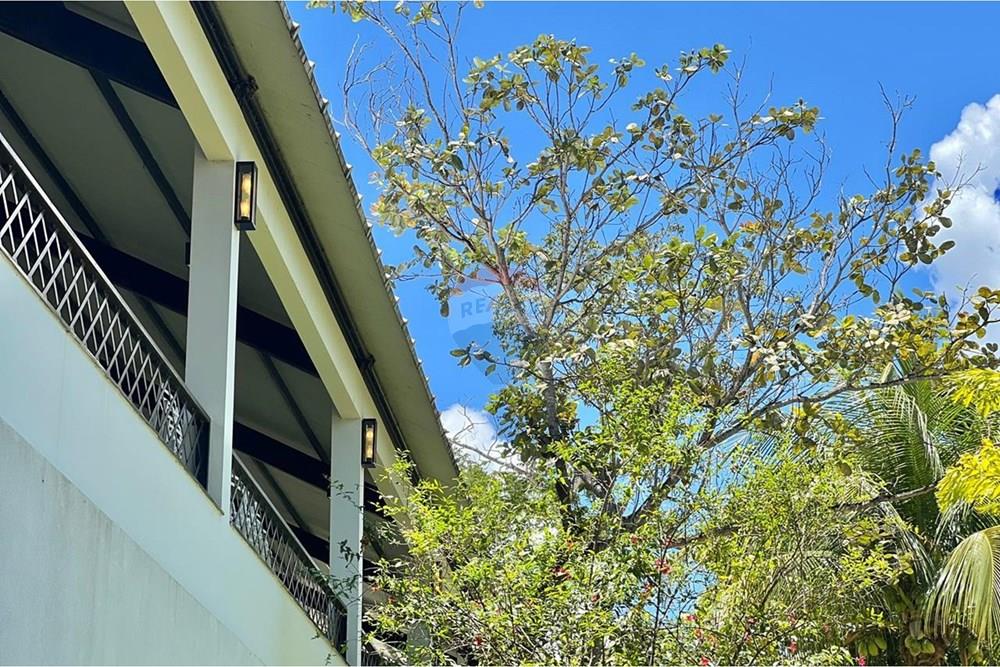 Chácara / Sítio / Fazenda - Venda - Barreiras , Bahia - WhatsApp Image 2026-02-23 at 09.09.58 (1).jpeg - 580651075-89