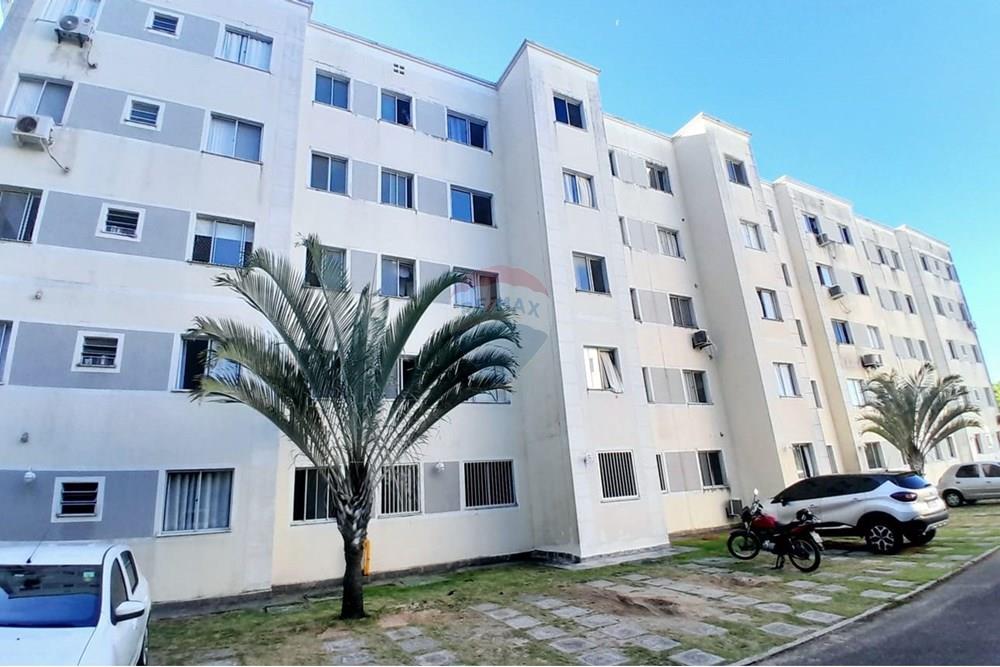 Apartamento - Centro