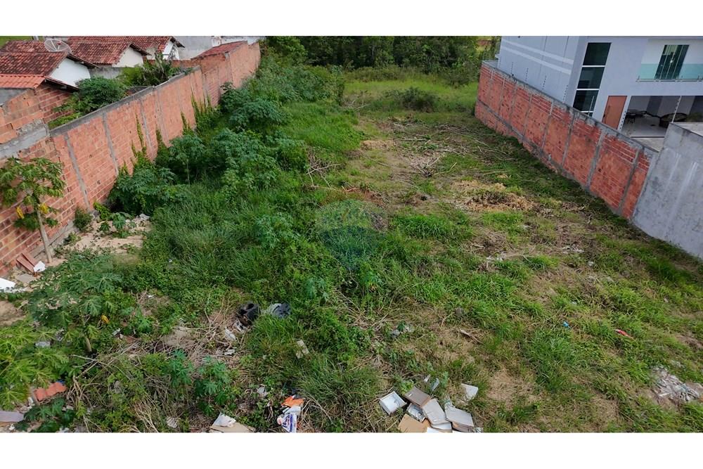 Terreno - Venda - Alagoinhas , Bahia - dji_fly_20260312_153202_0040_1773341474399_photo_beautify.jpg - 580701064-3