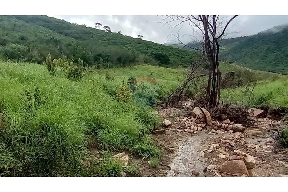 Chácara / Sítio / Fazenda - Venda - Jequié , Bahia - IMG-20240614-WA0275.jpg - 580731023-47