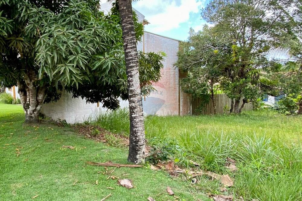 Terreno - Venda - Trancoso , Bahia - WhatsApp Image 2026-01-14 at 10.23.59 (2).jpeg - 580581012-110