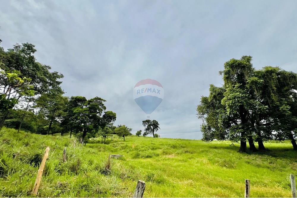 Chácara / Sítio / Fazenda - Venda - Barreiras , Bahia - WhatsApp Image 2025-03-11 at 17.53.50 (1).jpeg - 580651065-24