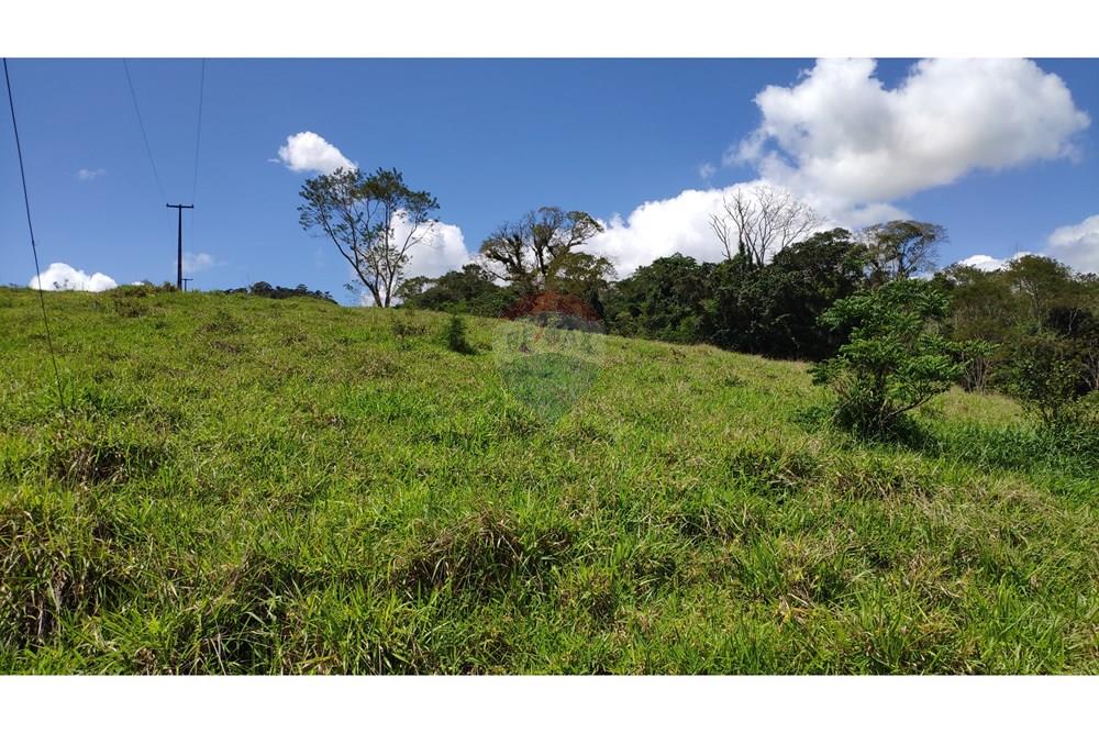 Chácara / Sítio / Fazenda - Venda - Jequié , Bahia - 15.jpg - 580731023-74