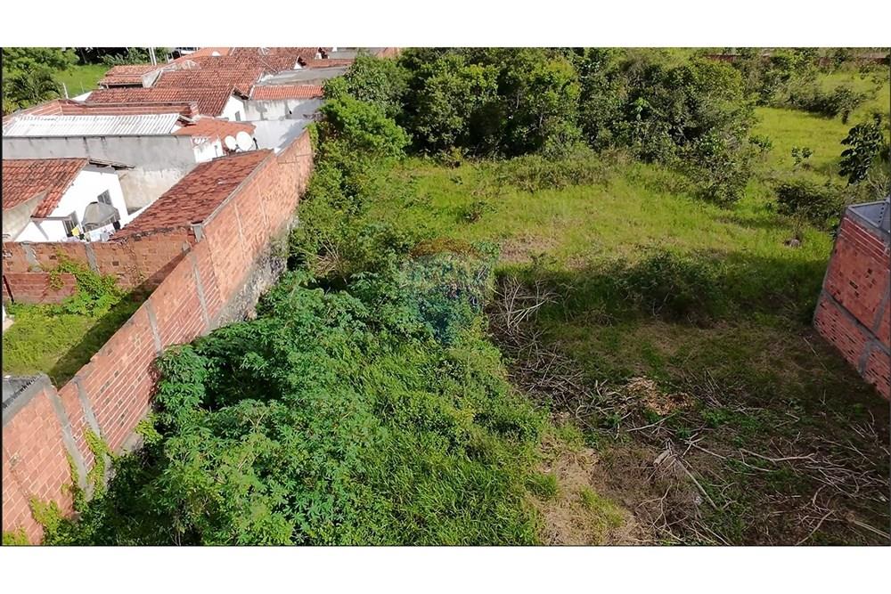 Terreno - Venda - Alagoinhas , Bahia - 2.jpg - 580701064-3